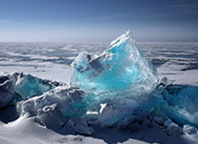 意昂体育-【观察】外来的和尚会念经？本土少帅当道成CBA趋势